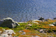 Turta-2004_0815_122412AA_edited