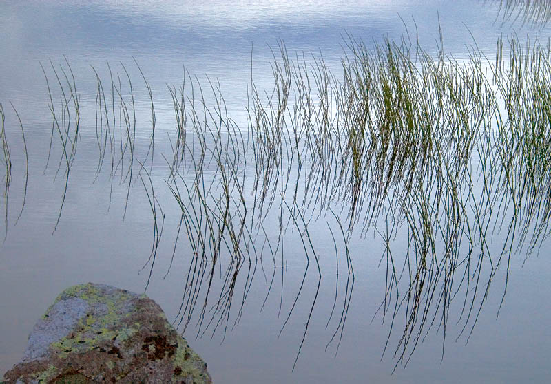 SlowFish-105_edited-1